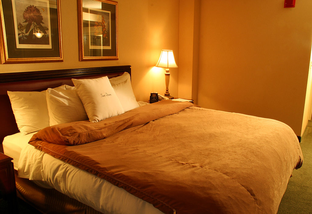 The Online Photo Dictionary: night stand, headboard, picture frame, border, painting, wall, cushion, pillow, lamp, alarm clock, telephone, fire alarm, carpet, duvet, bed sheet