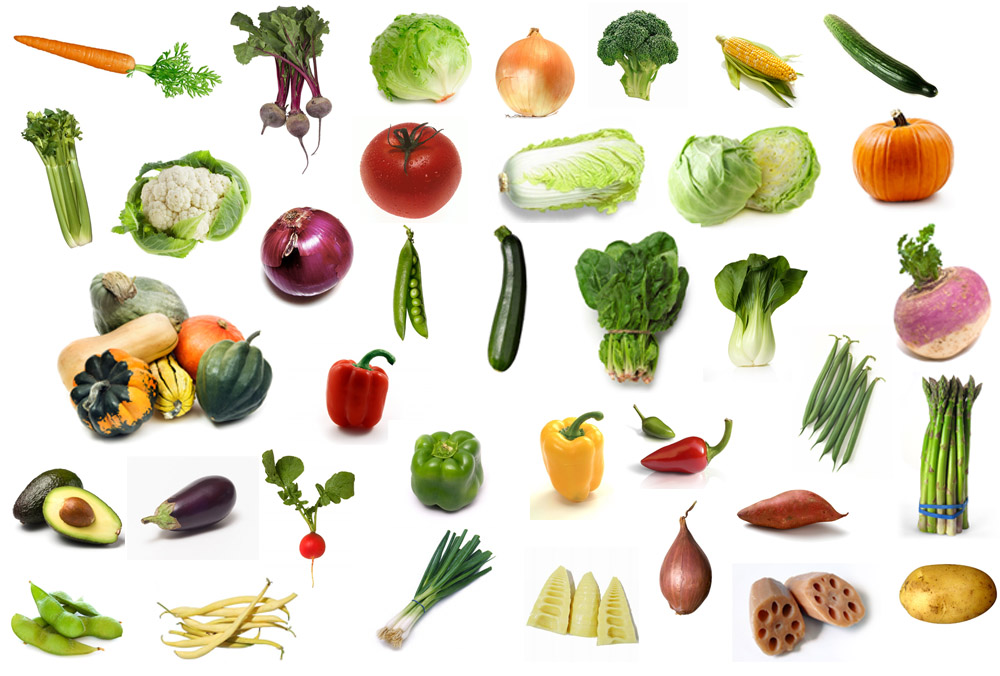 The Online Photo Dictionary: vegetables, carrot, beets, lettuce, onion, broccoli, corn, cucumber, celery, cauliflower, red onion, tomato, chinese cabbage, cabbage, pumpkin, squash, red pepper, peas, zucchini, spinach, bok choy, turnip, green beans, avocado, eggplant, radish, green pepper, yellow pepper, chili peppers, asparagus, sweet potato, shallot, edamame, yellow beans, green onions, bamboo shoots, lotus root, potato
